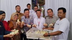 Peternak Broiler Gunungkidul Diberikan Sarana Produksi hingga Serapan Hasil Panen