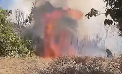 Titik Api Kembali Muncul di Gunung Butak Malang, Water Bombing Jadi Opsi