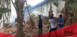 Kebakaran Lahan di Topoyo Nyaris Masuk Permukiman, Warga Panik