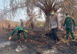 Cek Karhutla Siak, Kapolda Riau Sebut 4 Wilayah Jadi Atensi