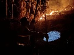 Api Lahap 2,5 Hektare Lahan Kering di Jatilawang Banyumas