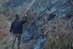 Kebakaran Landa Lahan PTPN di Bukit Tunggul, Api Diduga dari Pembakaran Semak