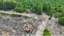 111 Hektare Hutan Manggrove di Dumai Dijarah, Polda Riau Amankan Alat Berat