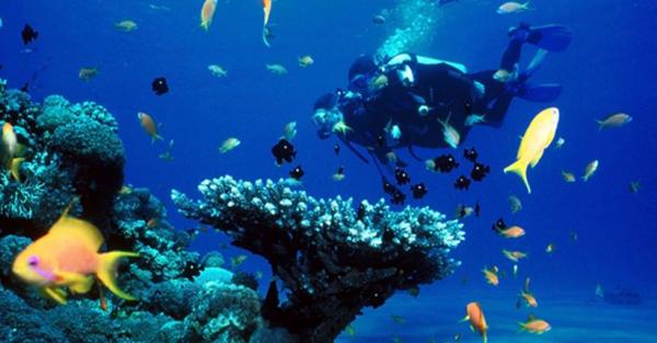 Karimunjawa