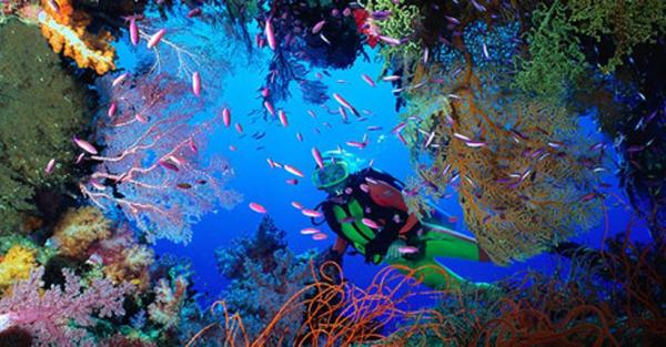 Raja Ampat