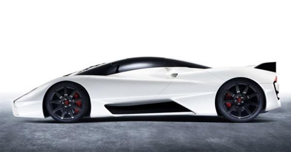 Shelby Tuatara