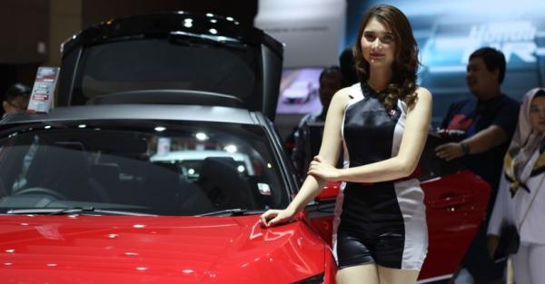 SPG IIMS