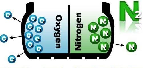 Nitrogen