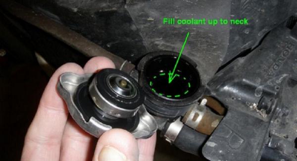 Tutup Radiator