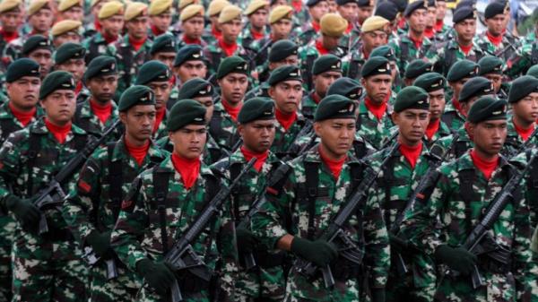 TNI Ant