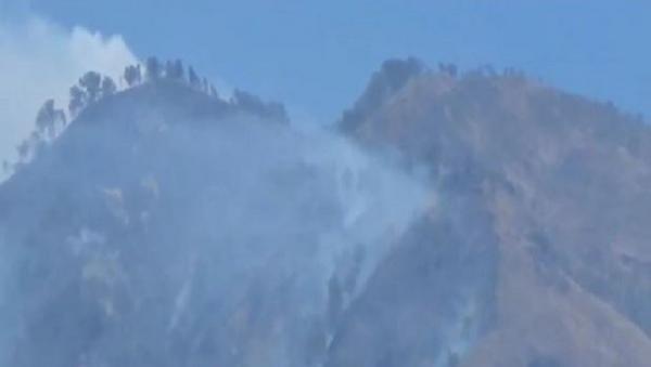 Karhutla di Puncak Gunung Wilis, Petugas Berjibaku Padamkan Api di Medan Curam