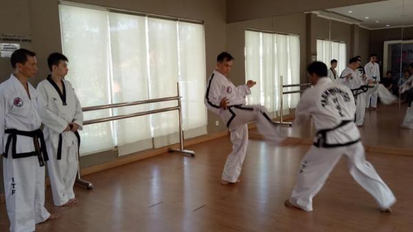 Taekwondo ITF