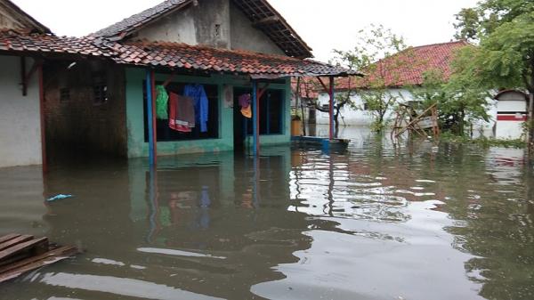 Banjir di Pekalongan, Banjir di Pekalongan, Jawa Tengah (Jateng). (Foto: iNews/Suryono)