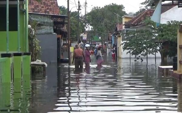 Banjir di Pekalongan Banjir di Pekalongan, Minggu (9/2/2020) (Foto:iNews/Suryono Sukarno)
