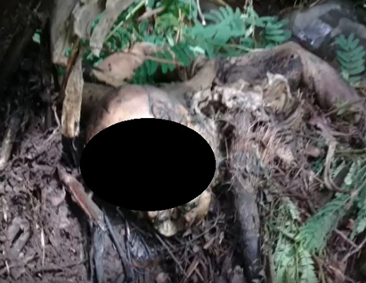 Penemuan mayat busuk di lereng Gunung Agung Bali