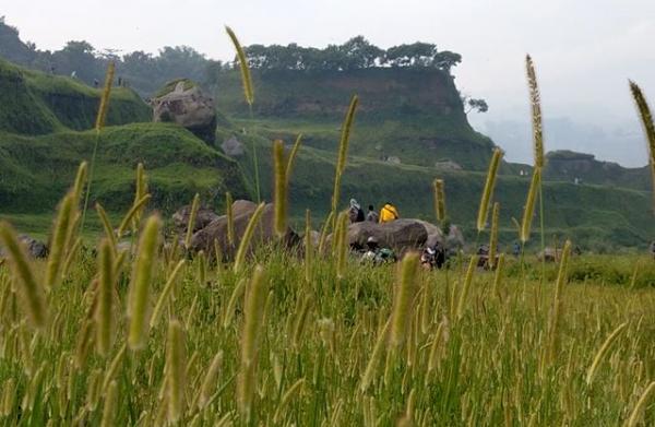 Pemandangan rumput di Ranu Manduro Pemandangan rumput di Ranu Manduro, Minggu (1/3/2020) (Foto: iNews/Sholahudin)