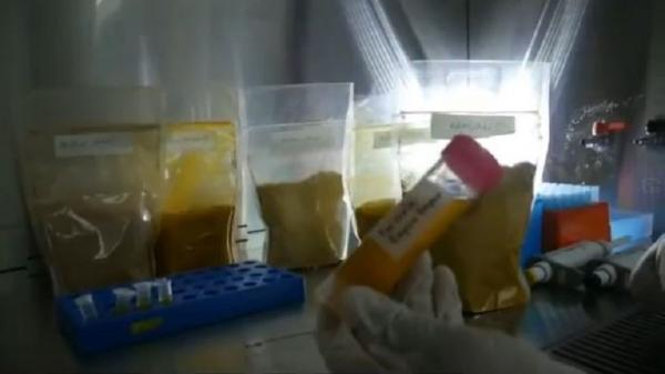 empon-empon antivirus korona Empon-empon atau rempah-rempah yang diteliti bisa untuk menangkal virus korona. Eksperimen ini dipimpin Guru Besar Biomolekuler Universitas Airlangga Surabaya Profesor Chairul Anwar atau CA Nidom. (Foto: iNews/Jaka Samudra)
