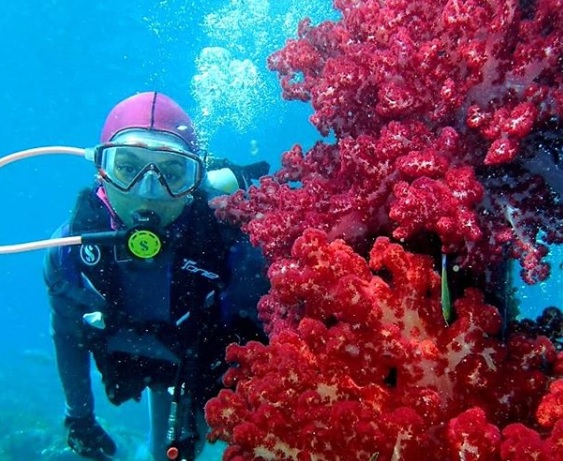 irawati boy rafli Irawati saat menyelam di Raja Ampat, Papua. (Foto: IG).