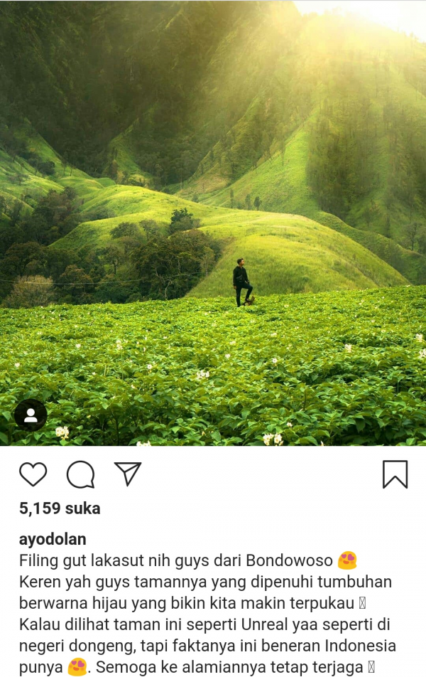 Tamangaluh