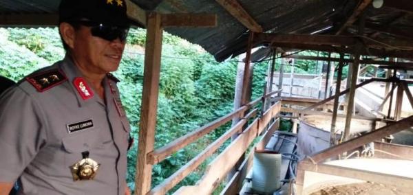 Kapolda sidak tempat produksi tambang ilegal di potolo