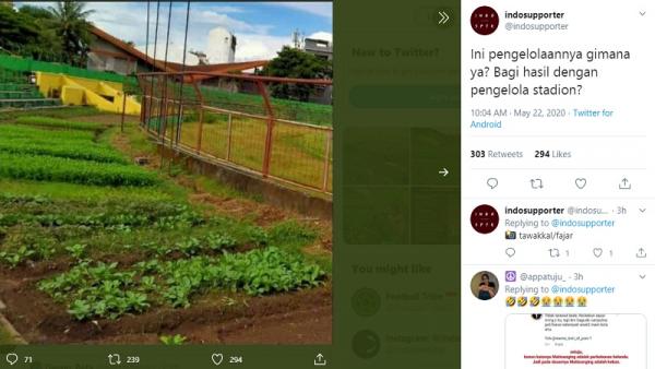 Stadion Mattoangin jadi kebun sayur sejak Liga 1 2020 ditangguhkan karena virus corona (foto: Tawakkal/fajar)