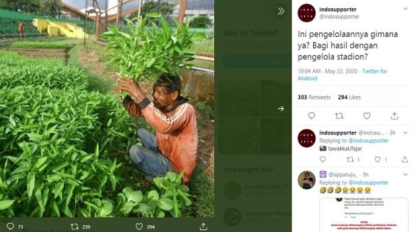Stadion Mattoangin jadi kebun sayur sejak Liga 1 2020 ditangguhkan karena virus corona (foto: Tawakkal/fajar)