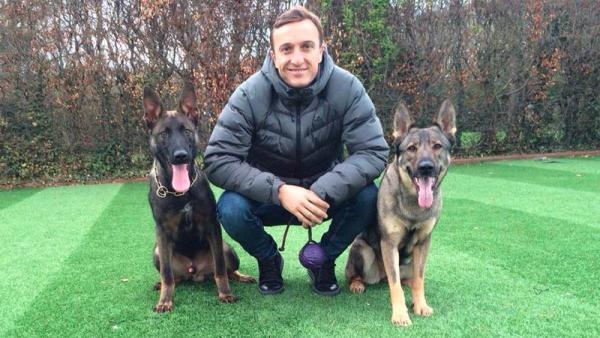 Mark Noble berfoto bersama dua anjing penjaga rumahnya (foto: The Sun)