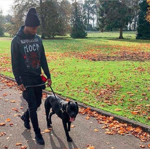 Marcus Rashford bersama anjing penjaga miliknya yang diberi nama The Saint (foto: The Sun)