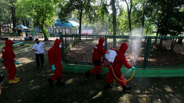 17 Okz Ragunan 3 Taman Margasatwa Ragunan, Jakarta Selatan melakukan penyemprotan disinfektan. (Foto: Okezone)