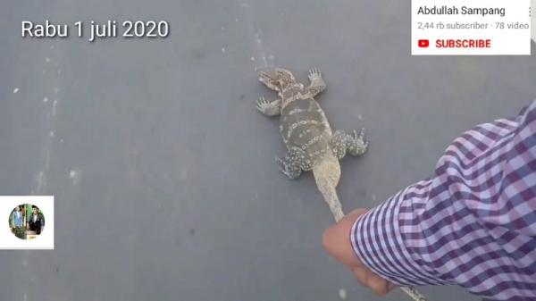 Tangkapan layar dari video YouTube Abdullah yang menyiksa biawak di jalan. Video ini mendapat kecaman dari masyarakat. (Foto: YouTube)