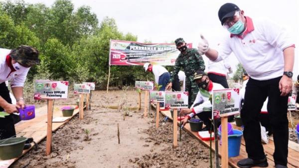 Gubernur Sumsel Herman-2 Gubernur Sumsel Herman Deru Tanam Mangrove (Bambang Irawan/iNews)