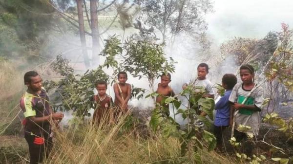 Bocah papua padamkan api Bocah SD di Papua mencoba padamkan kebakaran di Kebun Raya Biologi, Taman LIPI Wamena di Kawasan Perbukitan Gunung Susu, Wamena, Kabupaten Jayawijaya (Chanry Andrew/iNews)