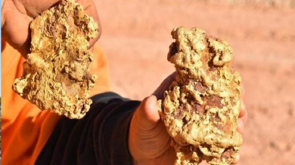 Dua bongkah nugget emas yang ditemukan di Victoria, Australia. (foto: AussieGoldHunters)
