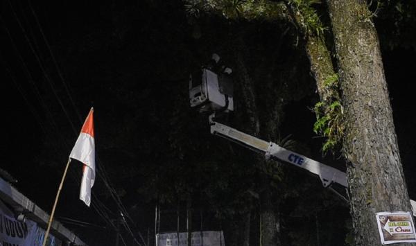 Petugas PMI mengevakuasi sarang tawon di pohon yang meresahkan warga. (iNews.id/Wahyu Sikumbang)