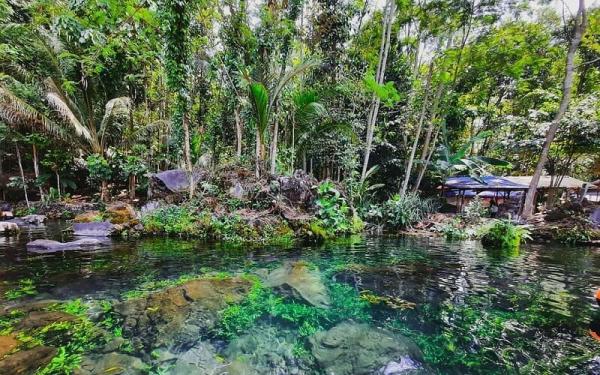 Telaga Nilem (Foto: Instagram IG@jejakkuningan)