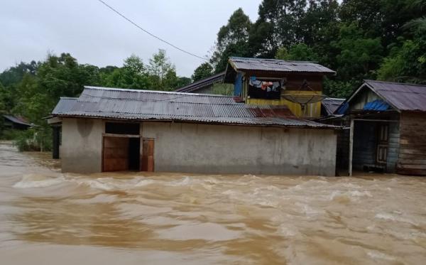 Banjir di Kabupaten Melawi menyebabkan 300 warga mengungsi ke masjid, Senin (14/9/2020). (iNews.id/Faisal Abubakar)