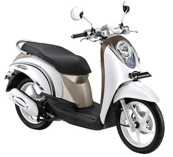 01 Scoopy