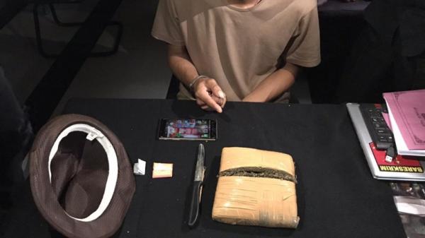 Narkoba ganja yang diamankan dari tangan pegawai honorer damkar OKU (Widori Agustino/iNews)