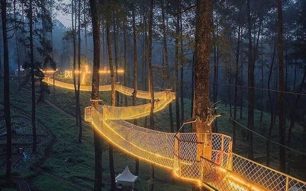 Orchid Forest Cikole (Foto: Instagram IG@warmanwardhani)