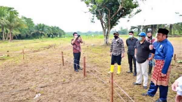 Herman Deru-3 Gubernur Sumatera Selatan Herman Deru di OKI untuk memantau pembangunan masjid orang tuanya, Masjid Al Hayza (Humas Pemprov Sumsel)
