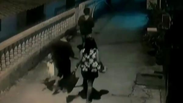 Pencuri tanaman-1 Aksi pencuri tanaman hias di Palembang, Sumsel (Firdaus/iNews)