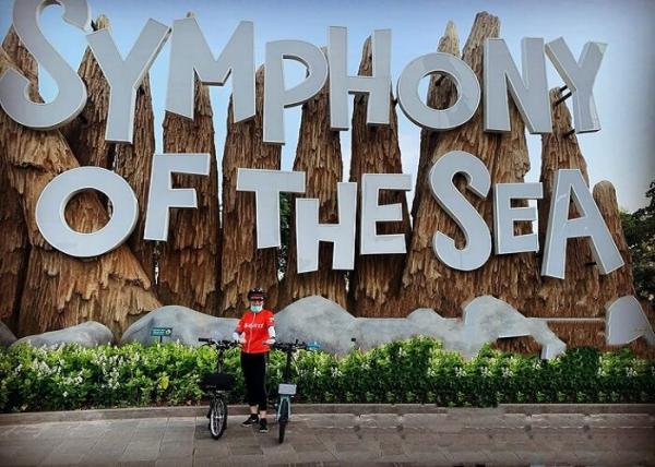 Ancol (Foto: Instagram IG@sismeld)