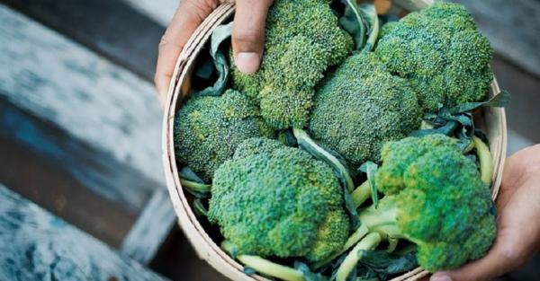 Makanan agar hamil anak laki-laki, Brokoli Makanan agar hamil anak laki-laki, Brokoli