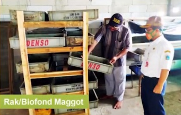 maggot 2 Budi daya maggot. (Foto: Dinas LH DKI).