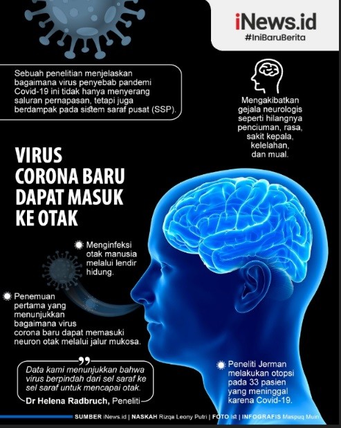 Virus Corona Otak