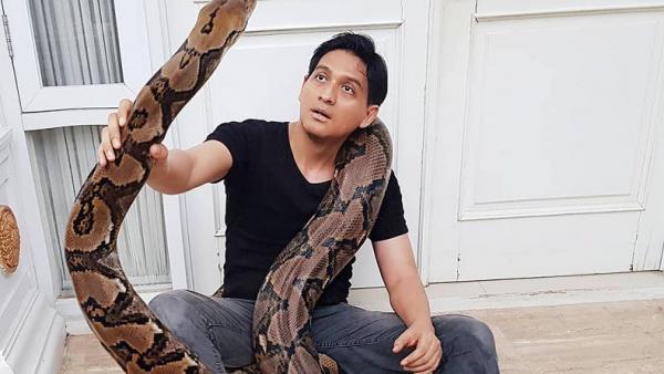 Cawabup Indramayu Lucky Hakim bersama ular peliharaannya. (Foto: Instagram luckyhakimofficial)