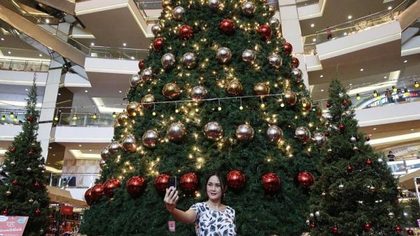 Pohon Natal. (Foto: Istimewa) Pohon Natal. (Foto: Istimewa)