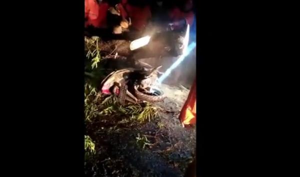 Pohon tumbang buleleng 2 Motor korban tertimpa pohon asam yang tumbang di Buleleng, Bali, Jumat (25/12/2020) malam. (iNews.id/Pande W)