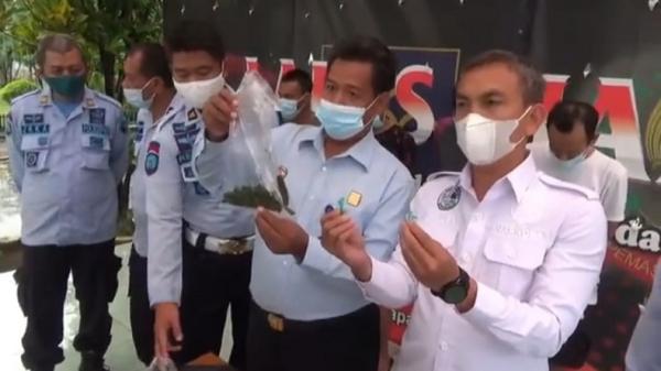 SABU.JPG Kalapas Kelas2B Cianjur Heri Aris Susilo dan Kasatres Narkoba AKP Ali Jupri menunjukkan sabu dan sayur tumis kangkung yang hendak diselundupkan TC. (Foto: iNewsTv/M Andi Ichsyan)