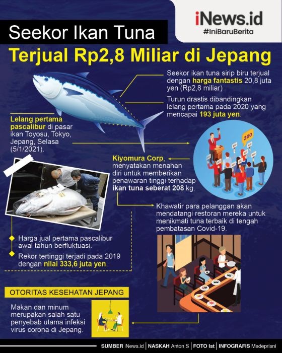 Infografis Ikan Tuna Petugas mengevakuasi pohon tumbang di Jalan HMS Mintareja, Kota Cimahi, yang menimpa motor di depan gedung Baros Information Technology Creative (BITC), Rabu (6/1/2021) petang. (Foto/Istimewa)